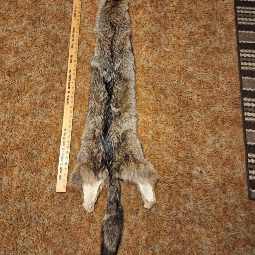 Real Fur Coyote Pelt